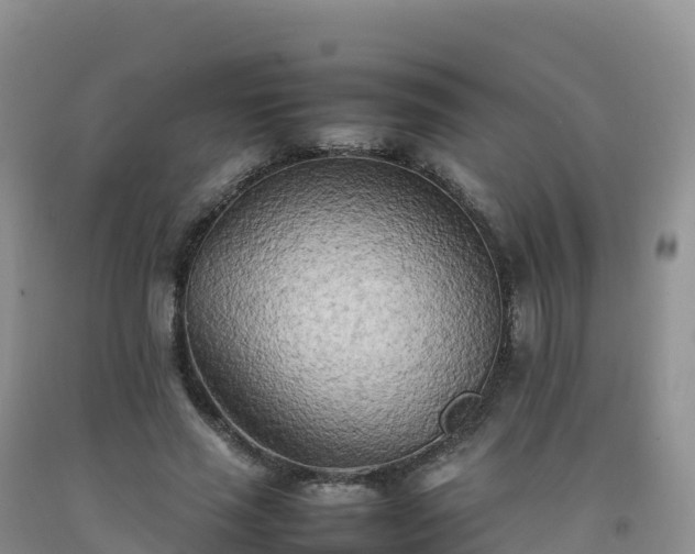 X0000092090637200709191246