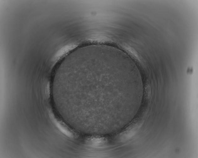 X0000092090638200709191246