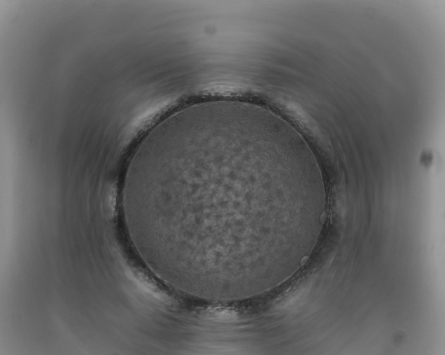 X0000092090640200709191246