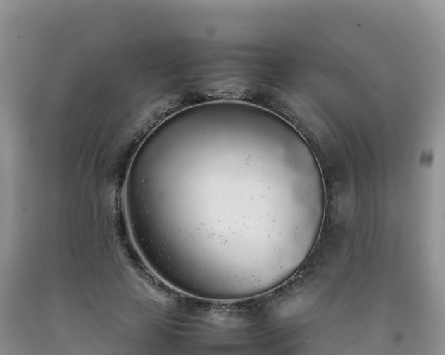 X0000092090641200709191246