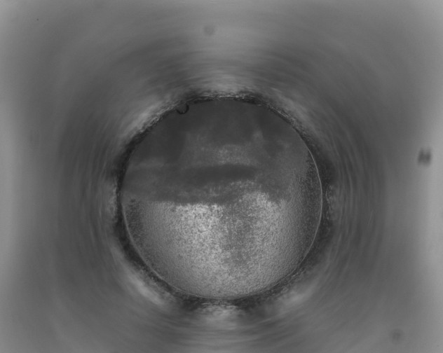 X0000092090642200709191246
