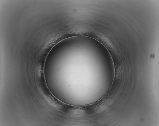X0000092090644200709191246