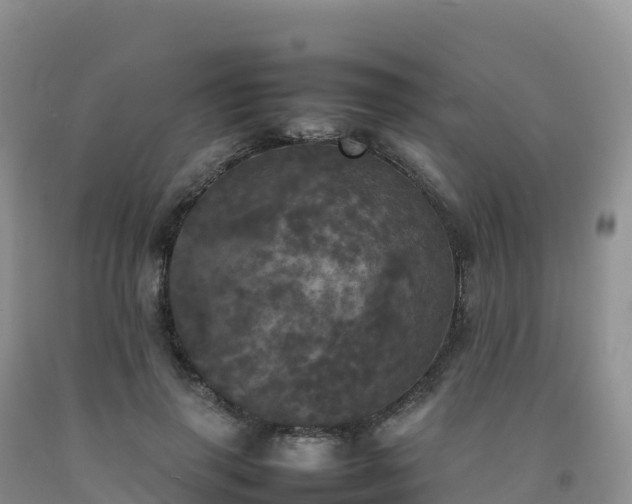 X0000092090645200709191246