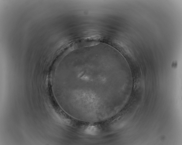 X0000092090647200709191246