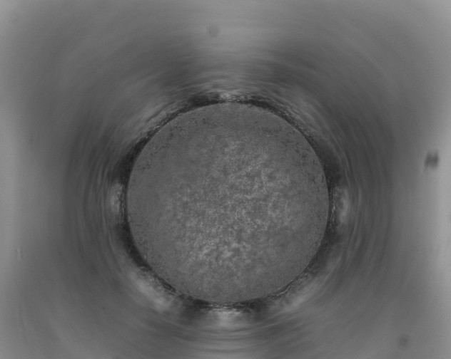 X0000092090650200709191246