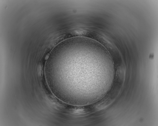 X0000092090651200709191246