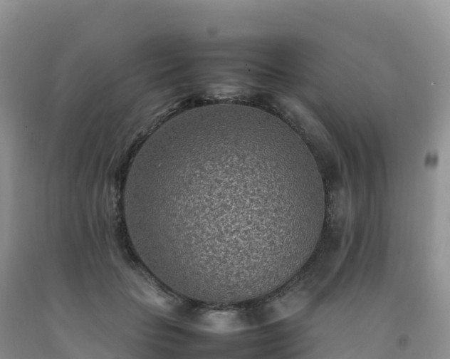 X0000092090653200709191246