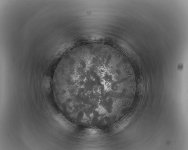 X0000092090654200709191246