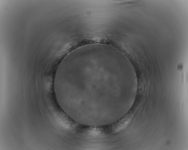 X0000092090656200709191246