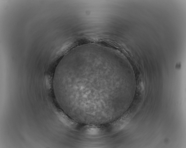 X0000092090658200709191246