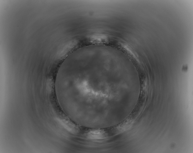 X0000092090659200709191246