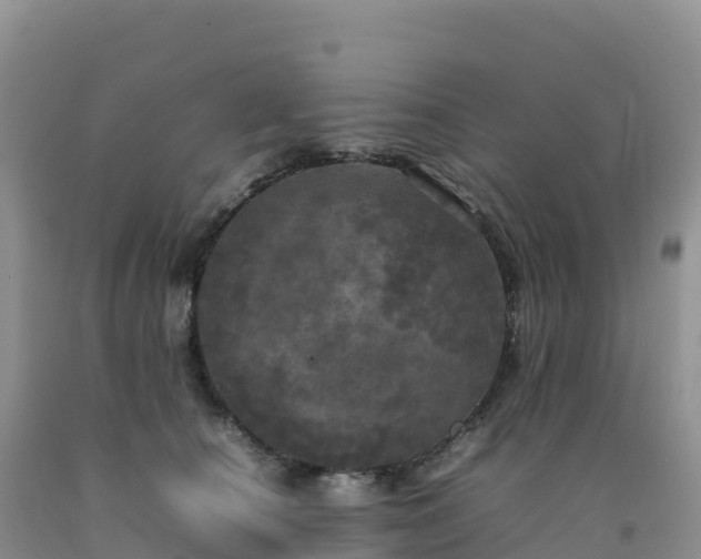 X0000092090660200709191246