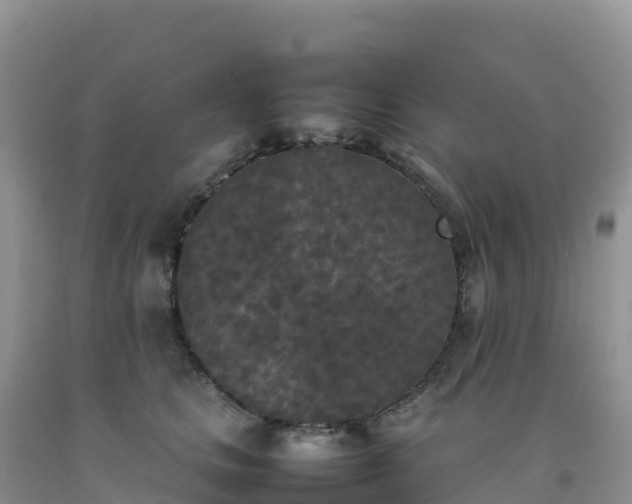 X0000092090661200709191246