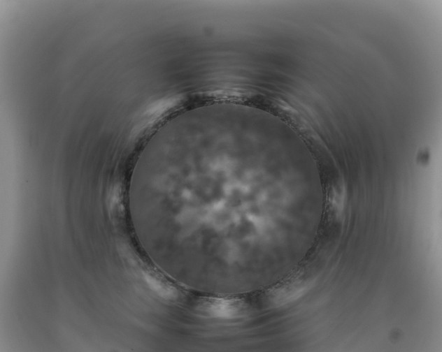 X0000092090663200709191246