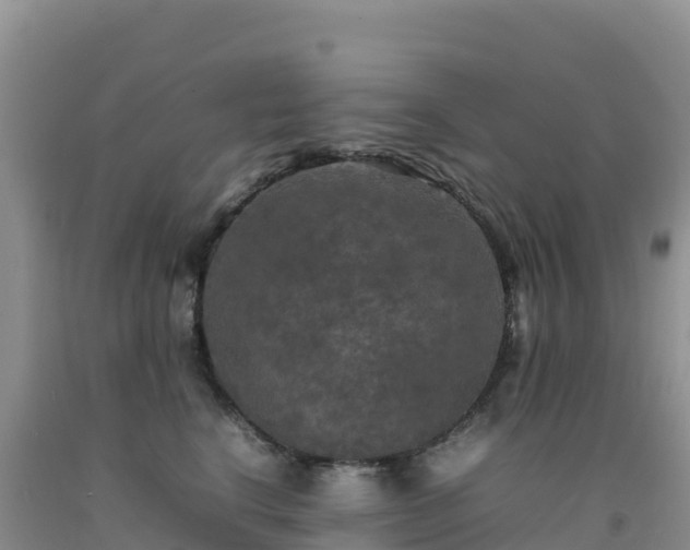 X0000092090664200709191246