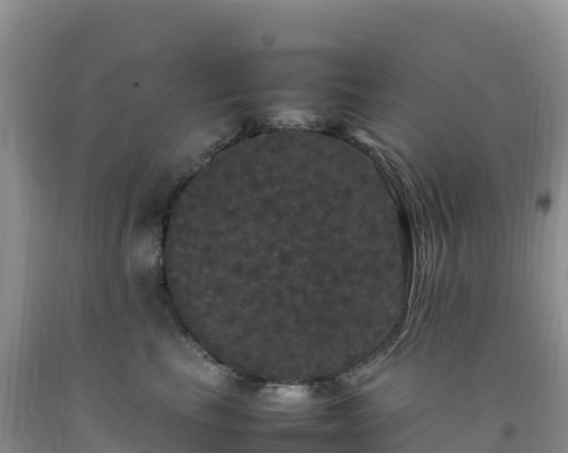 X0000092090665200709191246