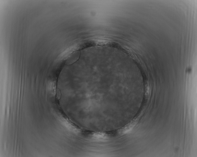 X0000092090666200709191246