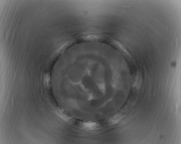 X0000092090669200709191247