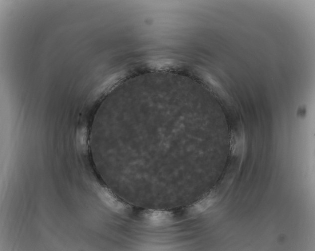 X0000092090670200709191247