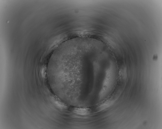 X0000092090671200709191247