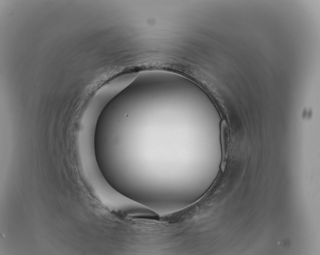 X0000092090673200709191246