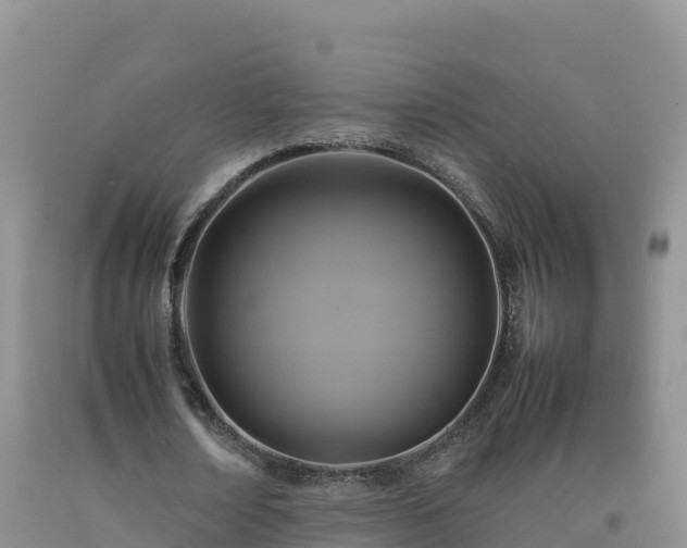 X0000092090674200709191246