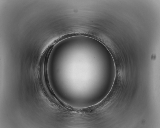X0000092090676200709191246