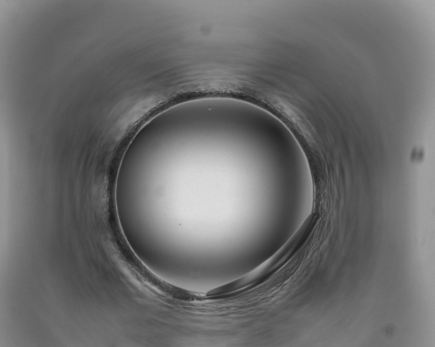 X0000092090677200709191246
