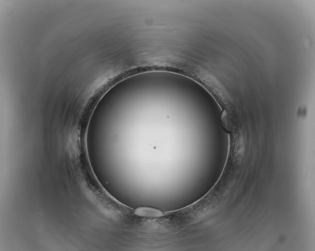 X0000092090680200709191246