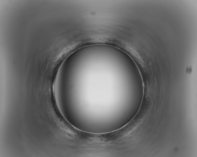 X0000092090681200709191246