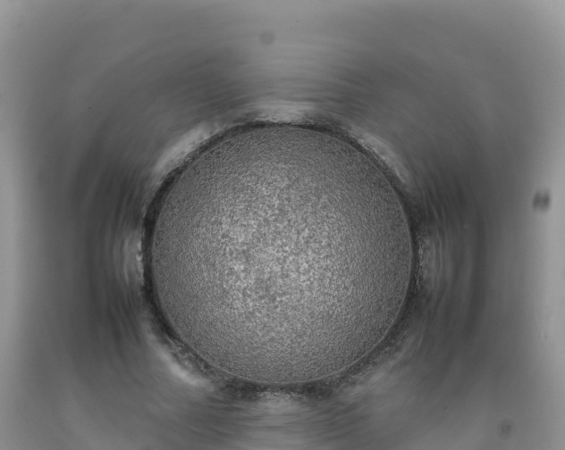 X0000092090682200709191246