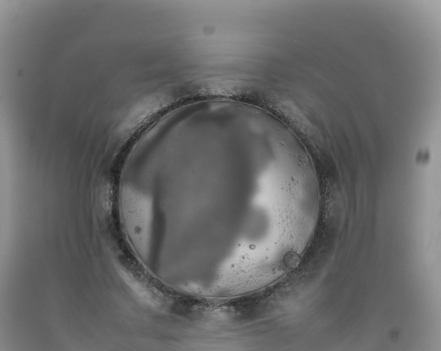 X0000092090683200709191246
