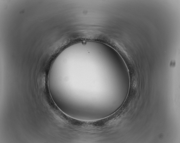 X0000092090685200709191246