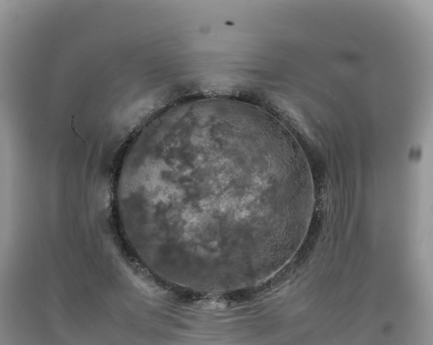 X0000092090687200709191246