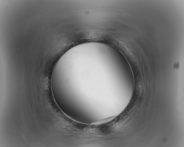 X0000092090689200709191246