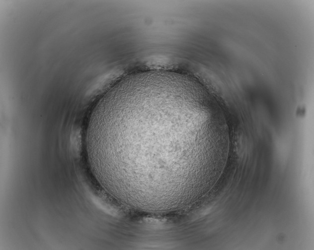 X0000092090690200709191246