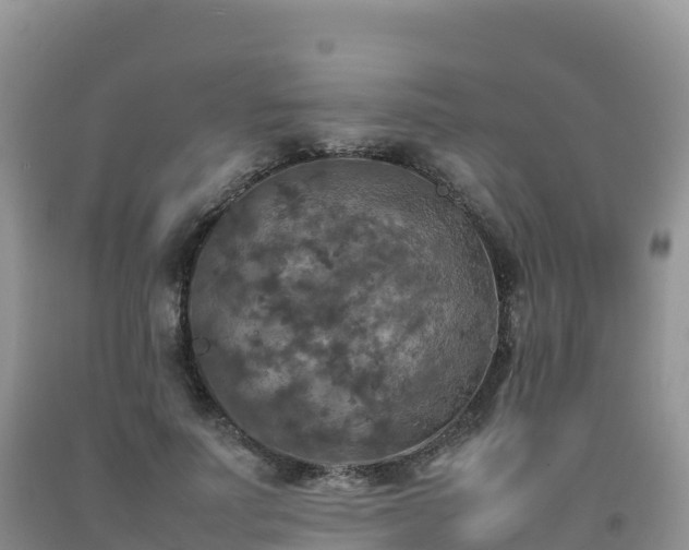 X0000092090691200709191246