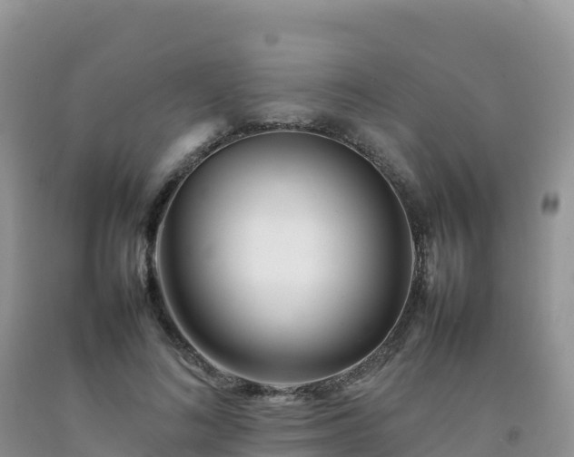 X0000092090692200709191246
