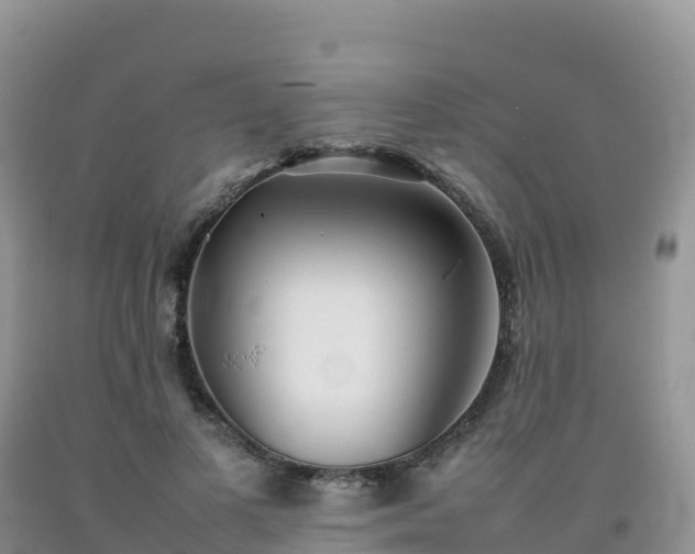 X0000092090693200709191246