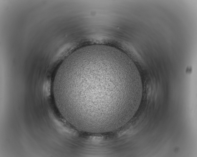 X0000092090694200709191246