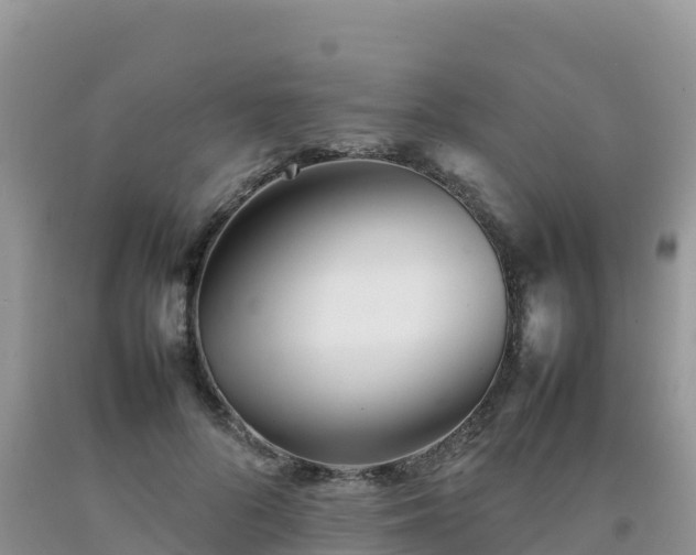 X0000092090696200709191246