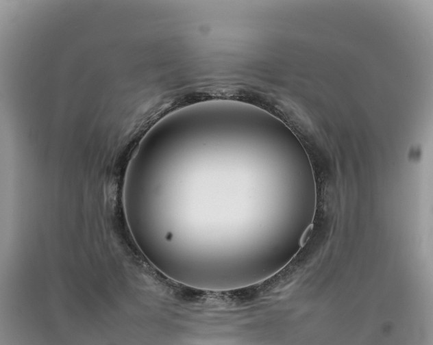 X0000092090697200709191246