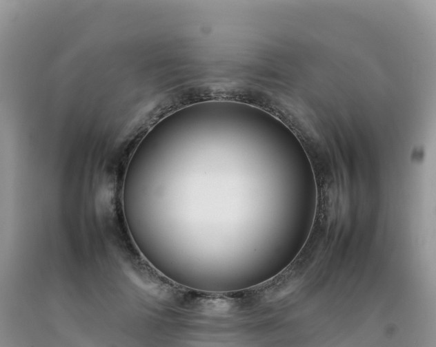 X0000092090698200709191246