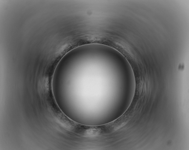 X0000092090700200709191246