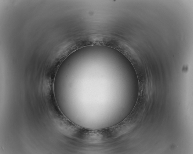 X0000092090702200709191246