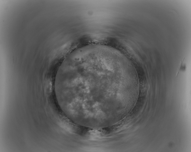 X0000092090703200709191246