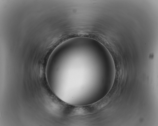 X0000092090704200709191246