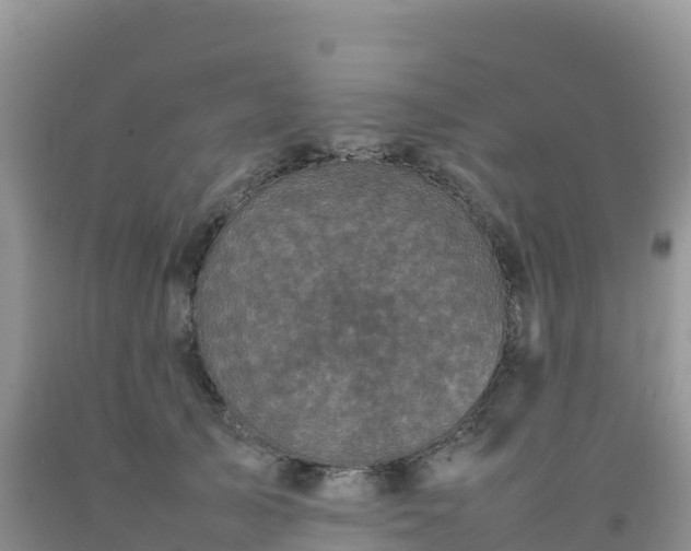 X0000092090705200709191246
