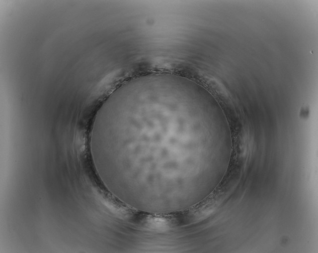 X0000092090706200709191246