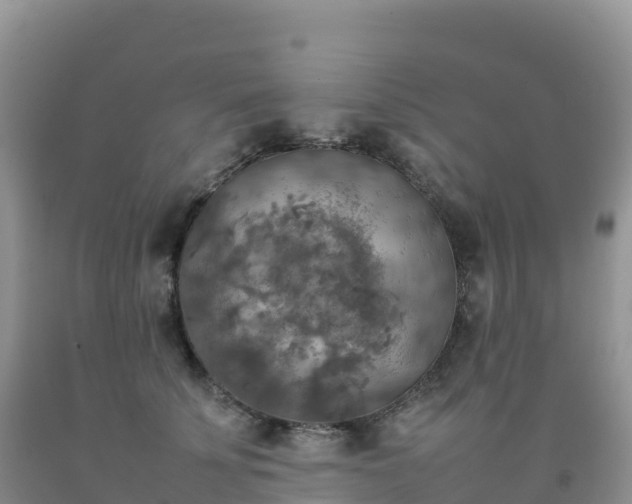 X0000092090707200709191246